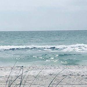 Meet your Posher, Debi